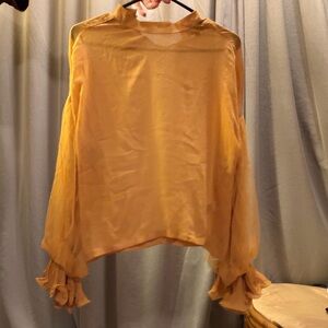 Elegant Sheer Blouse in Gold